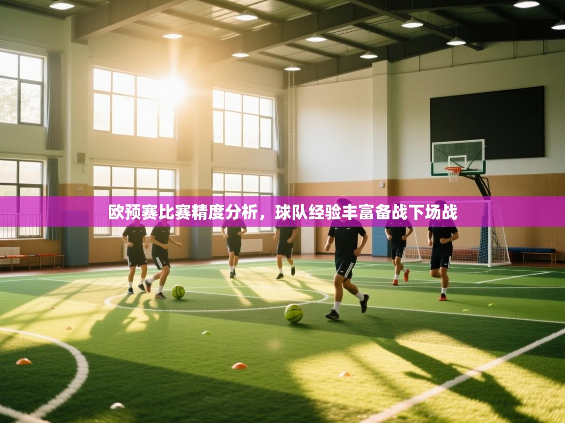 欧预赛比赛精度分析，球队经验丰富备战下场战  第1张