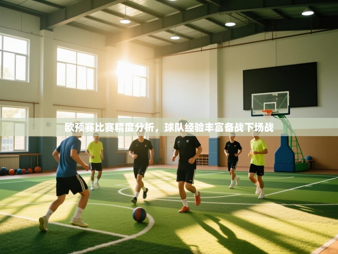 欧预赛比赛精度分析，球队经验丰富备战下场战  第2张