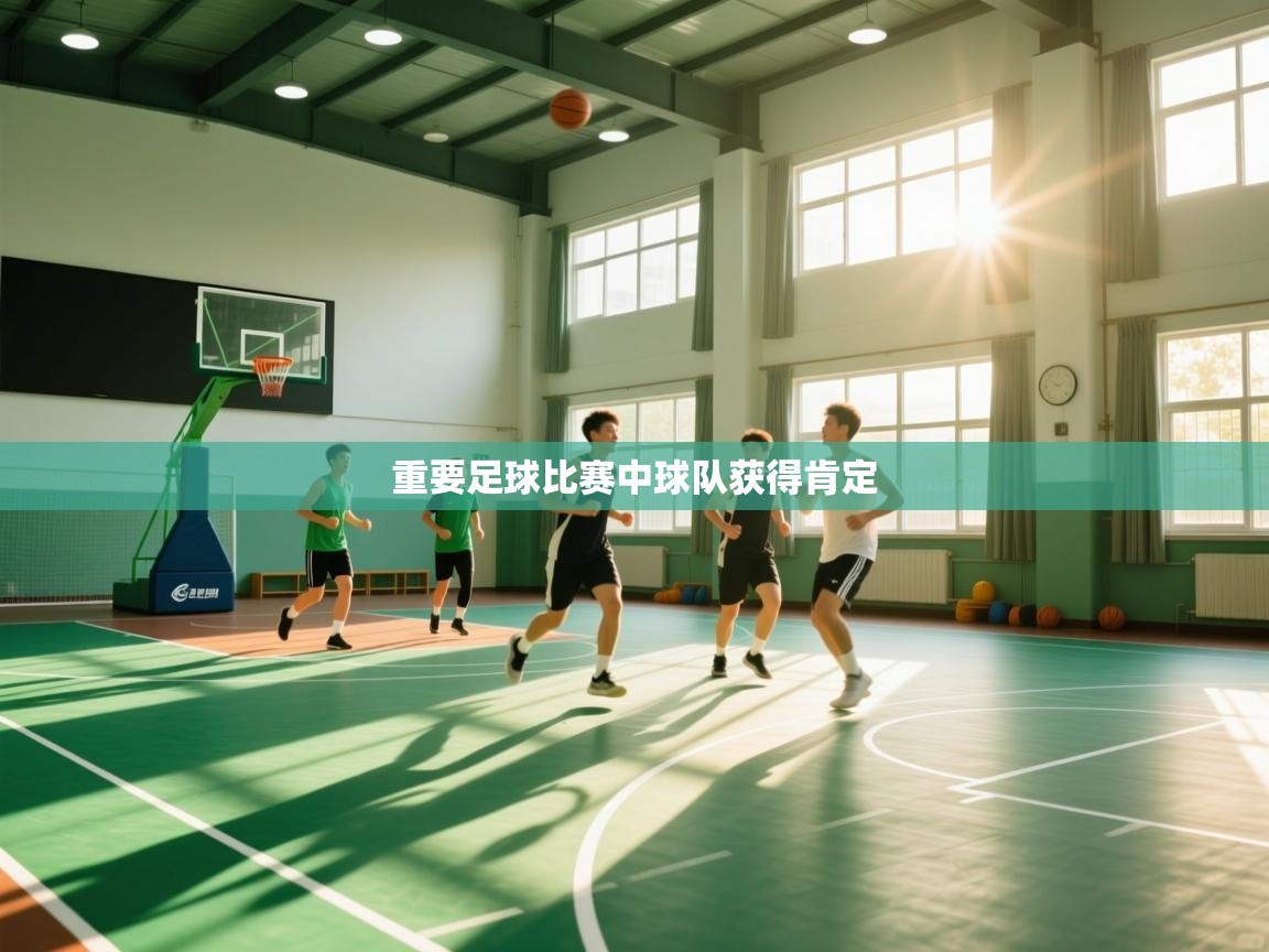 重要足球比赛中球队获得肯定 第1张