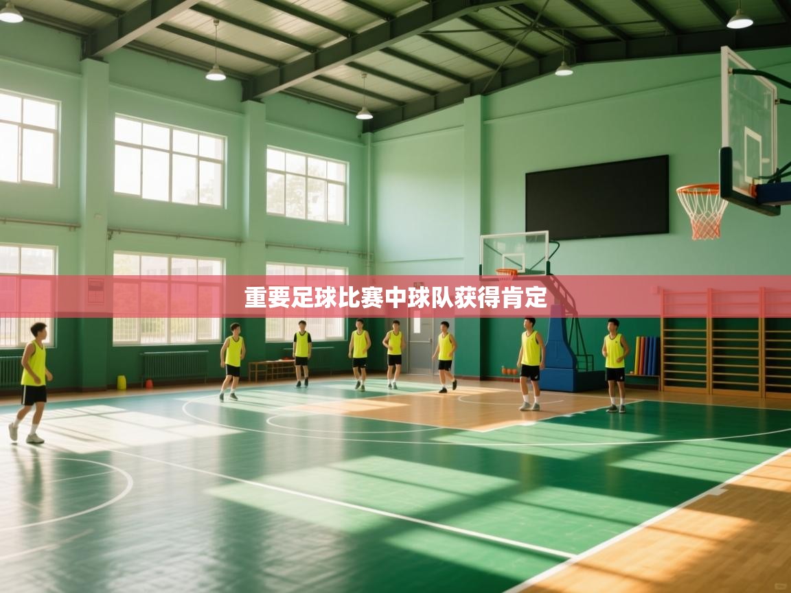 重要足球比赛中球队获得肯定 第2张