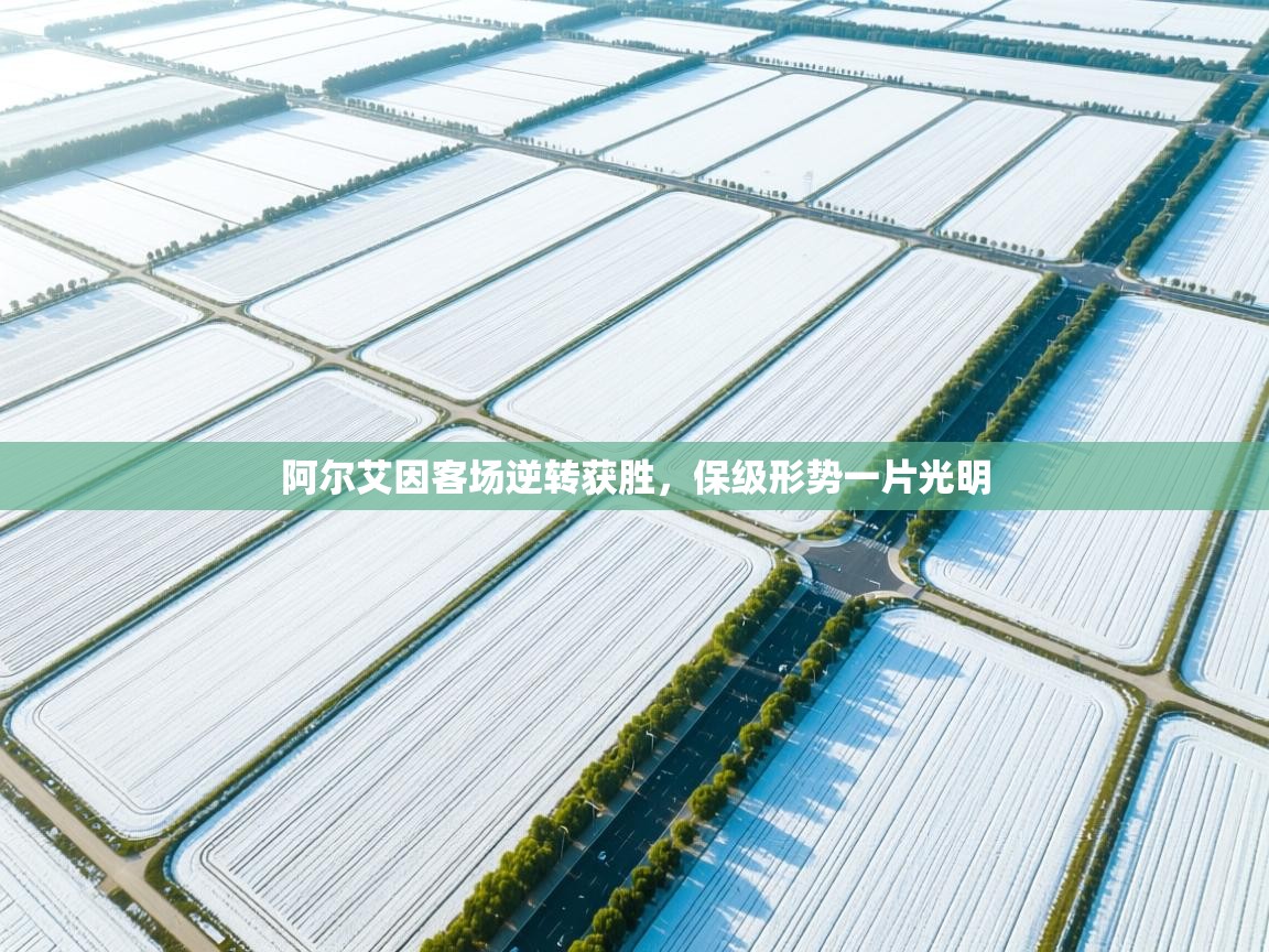 阿尔艾因客场逆转获胜，保级形势一片光明  第1张