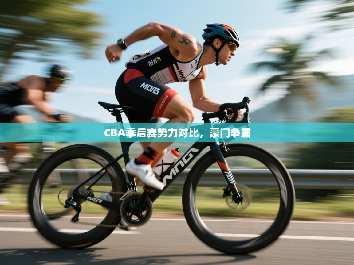 CBA季后赛势力对比，豪门争霸  第2张