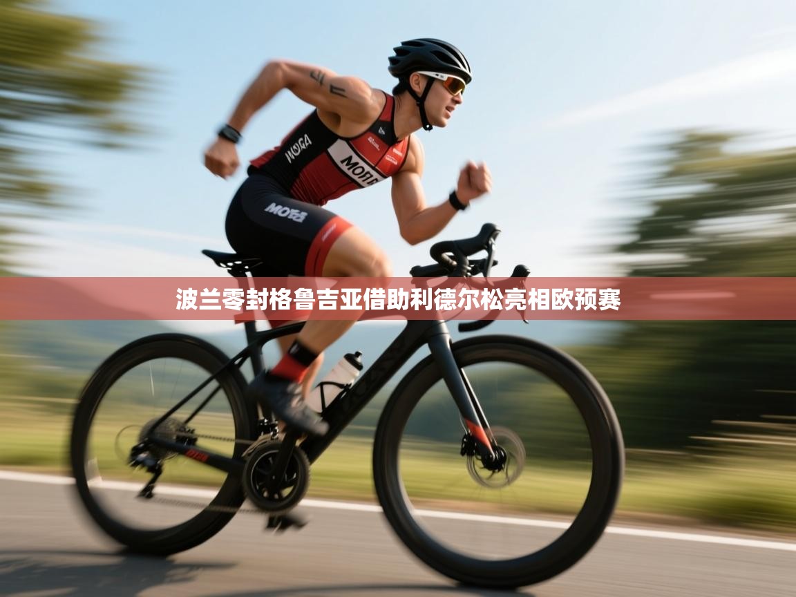 波兰零封格鲁吉亚借助利德尔松亮相欧预赛  第1张