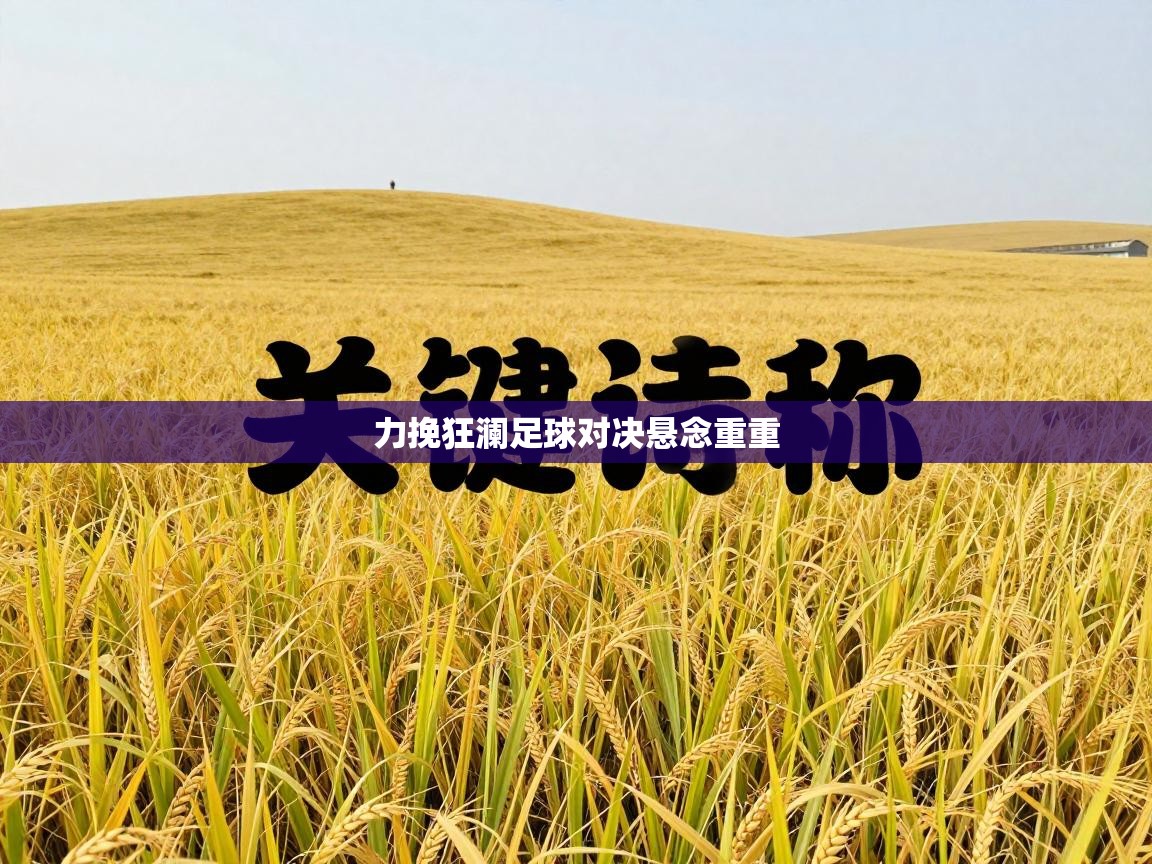 力挽狂澜足球对决悬念重重  第2张