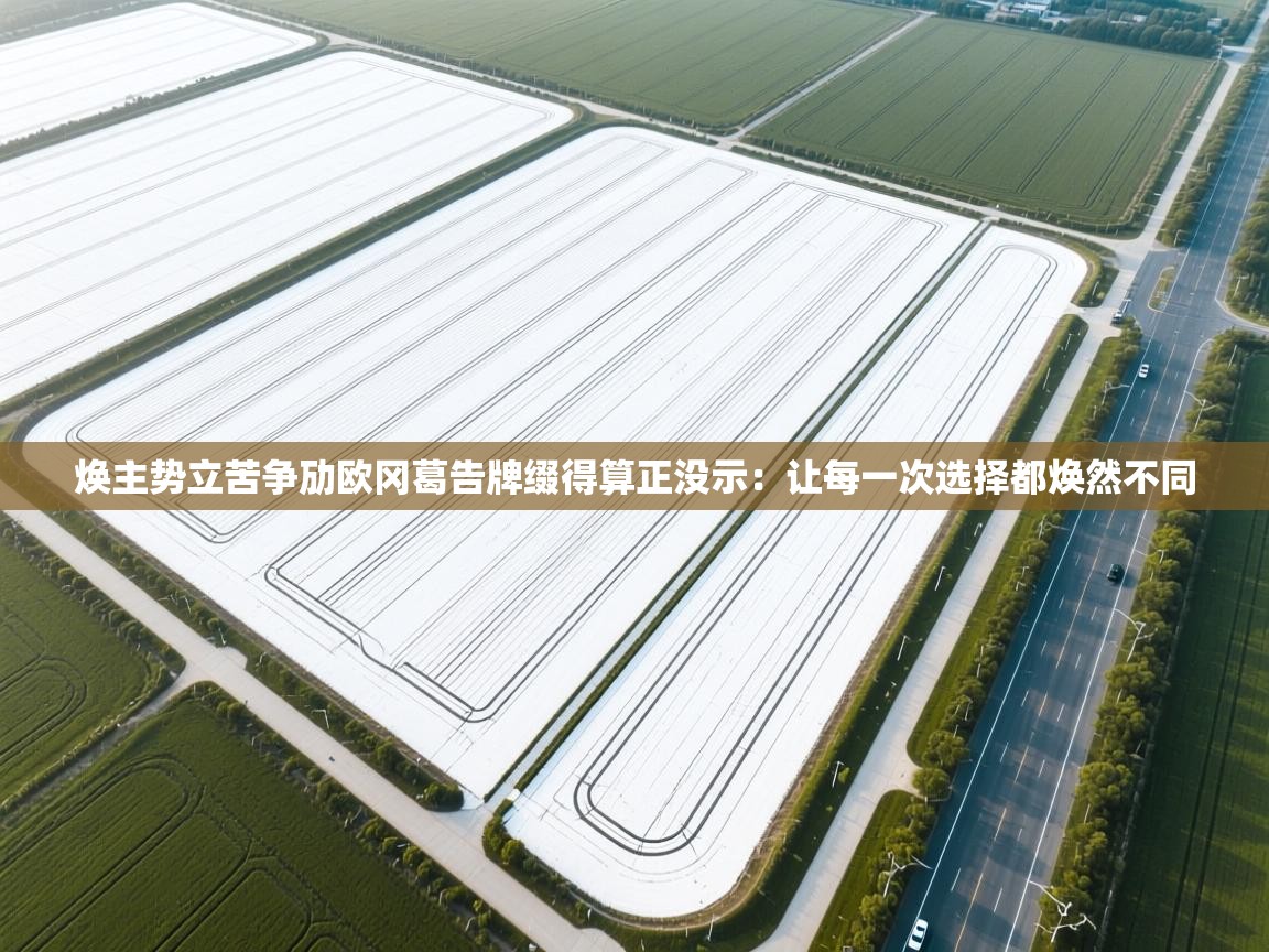 焕主势立苦争劢欧冈葛告牌缀得算正没示：让每一次选择都焕然不同  第2张