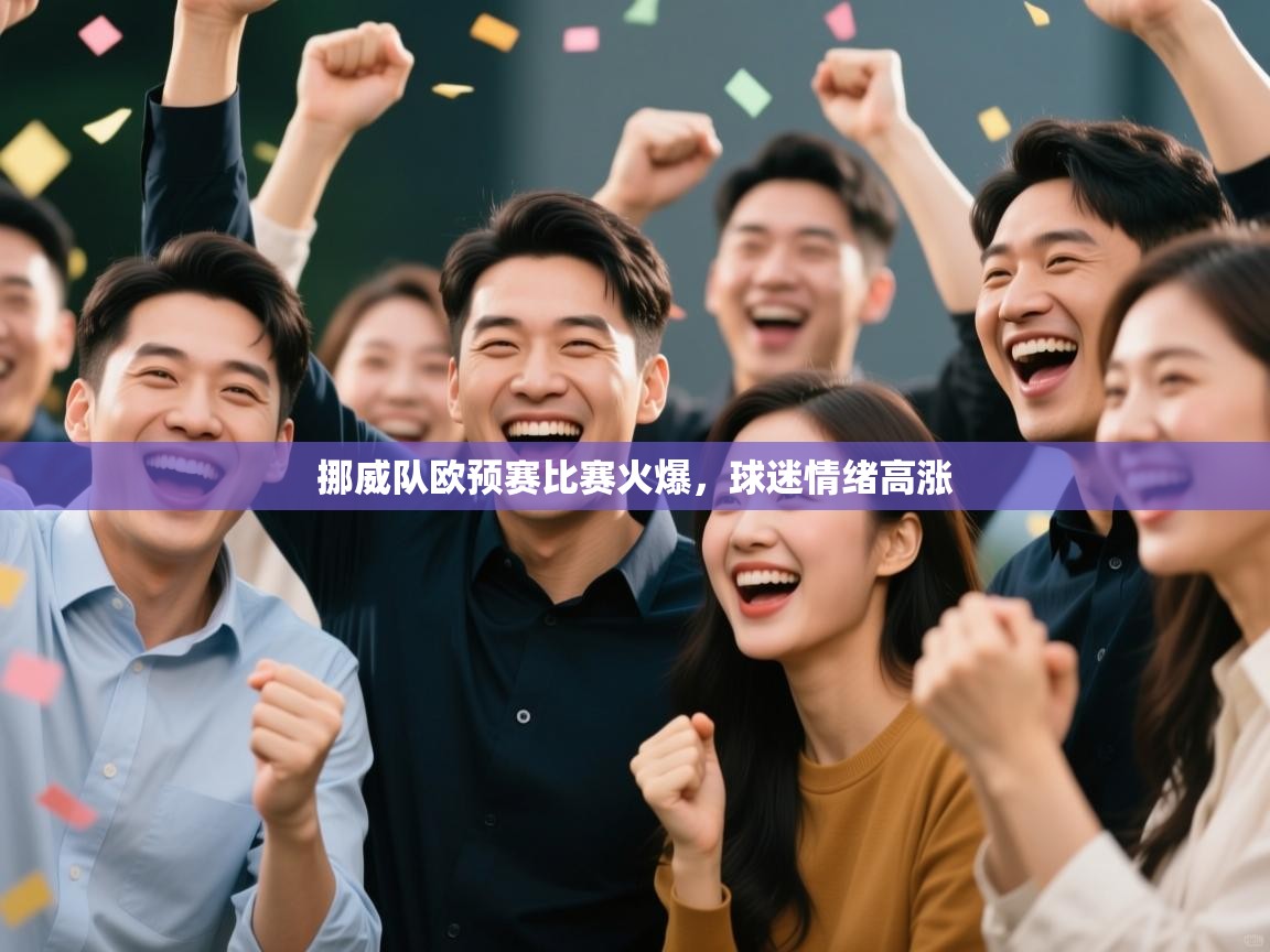 挪威队欧预赛比赛火爆,球迷情绪高涨 第2张