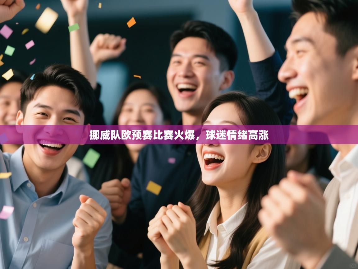 挪威队欧预赛比赛火爆,球迷情绪高涨 第1张